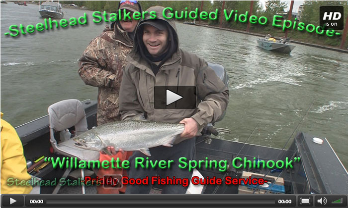 Willamette River Spring Chinook